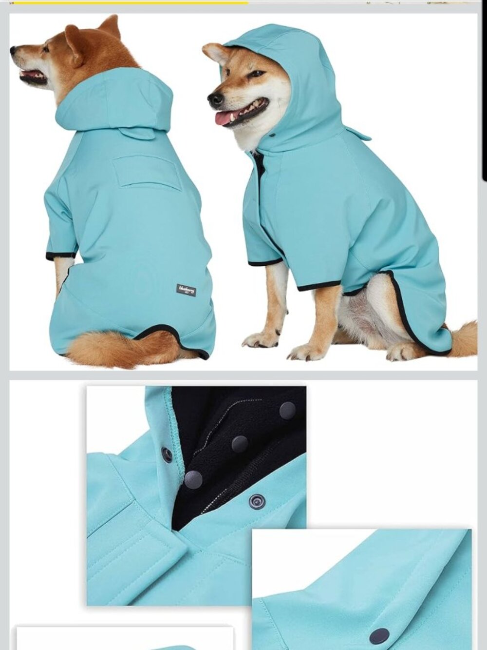 Blueberry Pet Raincoat